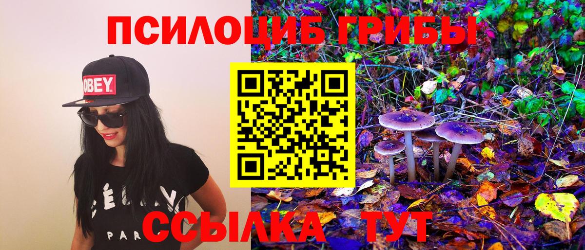 Галлюциногенные грибы Psilocybine cubensis Казань